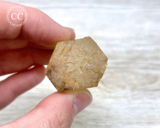 Congo Citrine #8