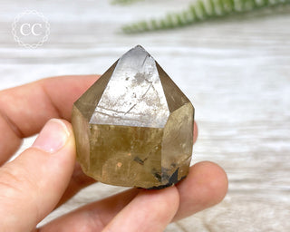 Congo Citrine #20