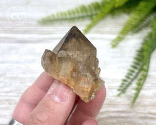 Congo Citrine #9