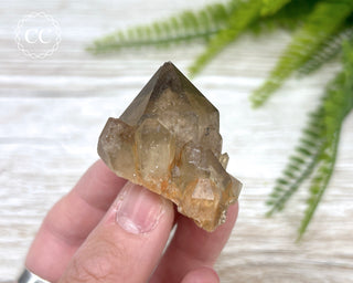 Congo Citrine #9