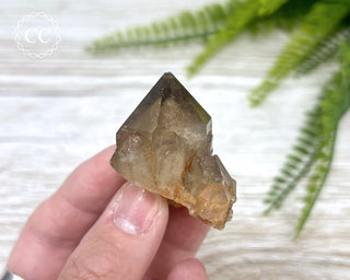 Congo Citrine #9