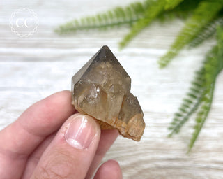 Congo Citrine #9