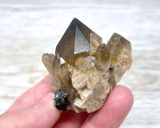 Congo Citrine #9