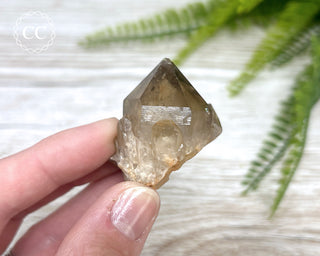 Congo Citrine #9