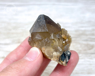 Congo Citrine #9