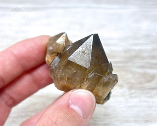 Congo Citrine #9