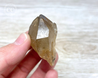 Congo Citrine #1