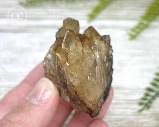 Congo Citrine #4