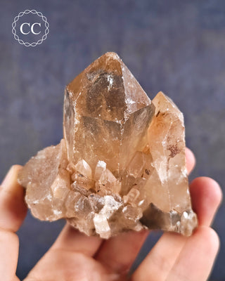Congo Citrine #2
