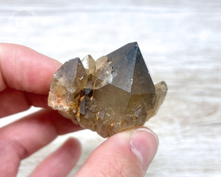 Congo Citrine #9