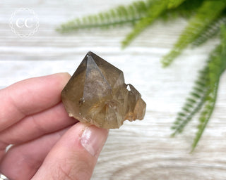 Congo Citrine #9