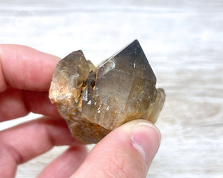 Congo Citrine #9