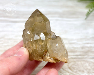 Congo Citrine #8