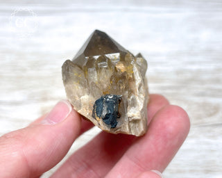 Congo Citrine #9