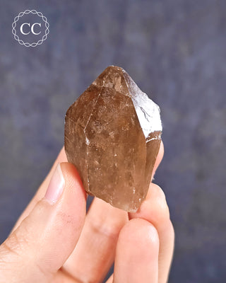 Congo Citrine #17