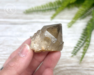 Congo Citrine #9