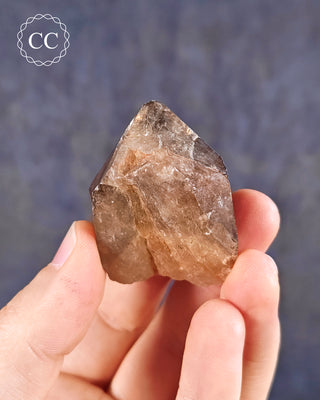 Congo Citrine #17