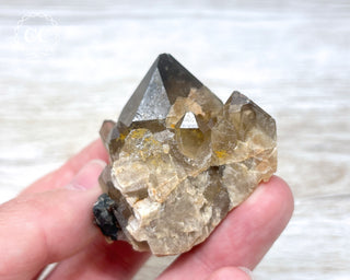 Congo Citrine #9