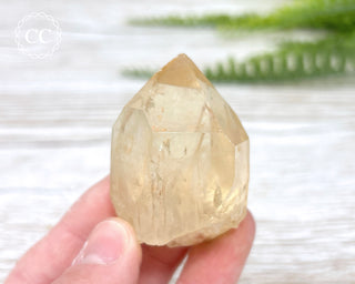 Congo Citrine #13