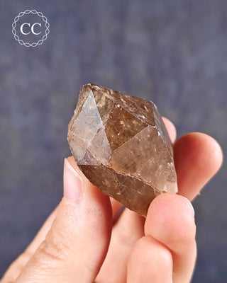 Congo Citrine #17