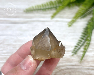 Congo Citrine #9