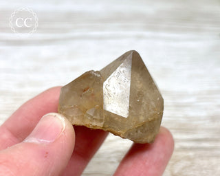 Congo Citrine #9