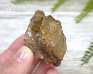 Congo Citrine #4