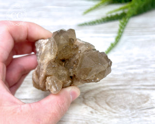Congo Citrine #4