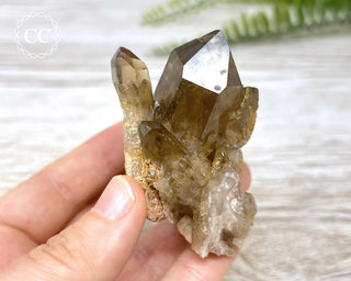 Congo Citrine #6