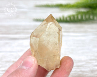 Congo Citrine #13