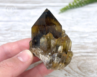 Congo Citrine #14