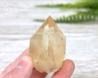 Congo Citrine #13