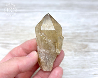 Congo Citrine #10