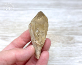 Congo Citrine #10