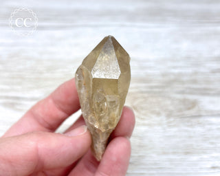 Congo Citrine #10