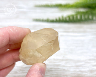 Congo Citrine #13