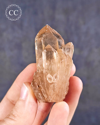 Congo Citrine #19