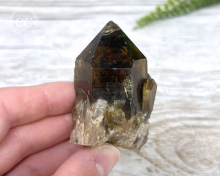 Congo Citrine #14