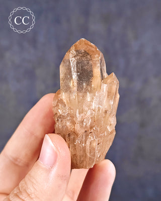 Congo Citrine #19