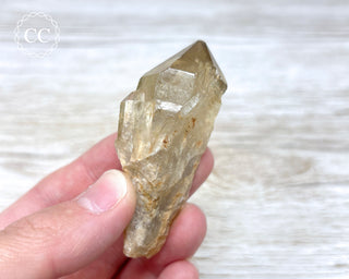Congo Citrine #10
