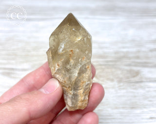 Congo Citrine #10