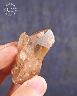 Congo Citrine #19