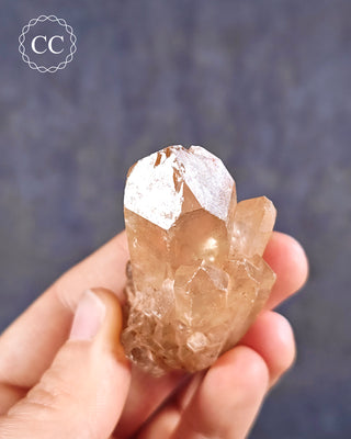 Congo Citrine #19