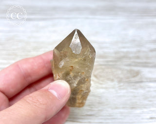 Congo Citrine #10