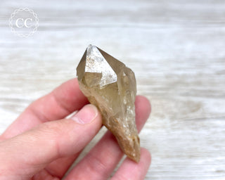 Congo Citrine #10