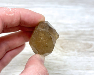 Congo Citrine #1