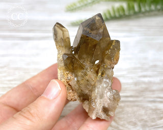 Congo Citrine #6