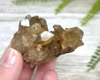 Congo Citrine #4