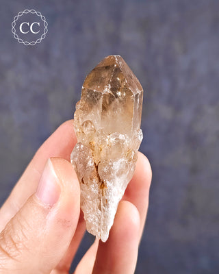 Congo Citrine #20