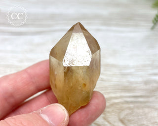 Congo Citrine #10
